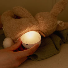 Afbeelding in Gallery-weergave laden, Little Dutch Newborn Knuffelkonijn Licht & Geluid