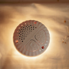 Afbeelding in Gallery-weergave laden, Little Dutch Newborn Knuffelgans Licht & Geluid