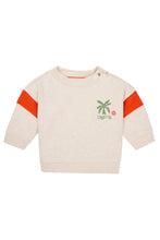 Afbeelding in Gallery-weergave laden, Noppies Boys Sweater Ocelot long sleeve