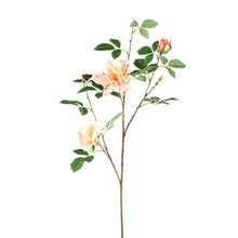 Afbeelding in Gallery-weergave laden, PTMD - Wildrose Flower light pink with leaves S