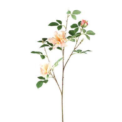 PTMD - Wildrose Flower light pink with leaves S