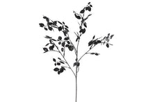 Afbeelding in Gallery-weergave laden, Lunaria zwart-L7B22H91CM
