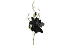 Afbeelding in Gallery-weergave laden, Magnolia S zwart-L13B27H86CM