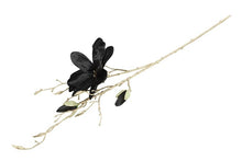 Afbeelding in Gallery-weergave laden, Magnolia S zwart-L13B27H86CM