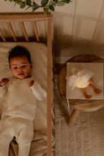 Afbeelding in Gallery-weergave laden, Little Dutch Newborn Knuffelgans Licht & Geluid