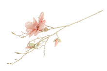 Afbeelding in Gallery-weergave laden, Magnolia S roze-L13B27H86CM