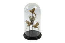 Afbeelding in Gallery-weergave laden, Stolp vogel ro Indy L goud