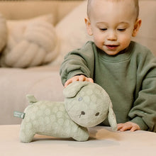 Afbeelding in Gallery-weergave laden, Little Dutch Snuffie 25cm green flower GRS