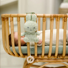 Afbeelding in Gallery-weergave laden, Little Dutch Nijntje muziekdoosje green flower GRS