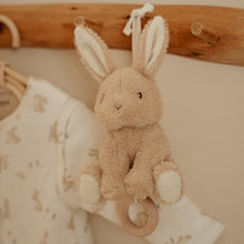 Afbeelding in Gallery-weergave laden, Little Dutch Muziekdoosje Baby Bunny