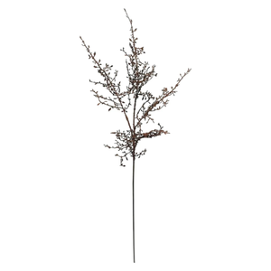 Mansion 109cm corokia spray orange