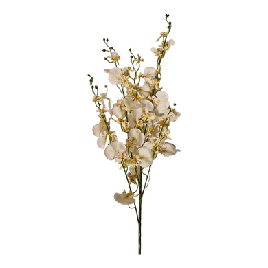 Mansion White Dancing orchid 102cm