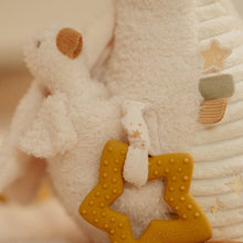 Afbeelding in Gallery-weergave laden, Little Dutch Activiteitenknuffel Little Goose