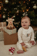 Afbeelding in Gallery-weergave laden, Little Dutch Giftset kerst GRS