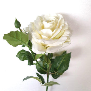 Mansion - Rose White Yellow 66cm