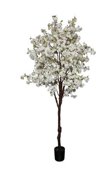 Mansion - Peach Blossoms 120cm