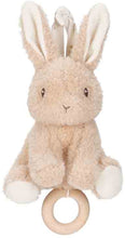 Afbeelding in Gallery-weergave laden, Little Dutch Muziekdoosje Baby Bunny