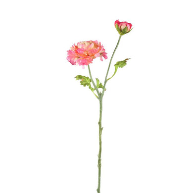 PTMD - Garden Flower pink ranunculus spray with buds