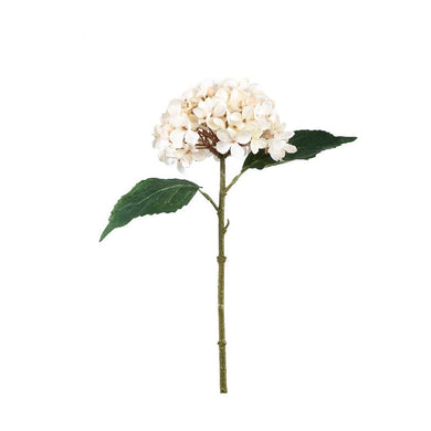 PTMD - Hydrangea Flower beige hydrangea stem with leaves