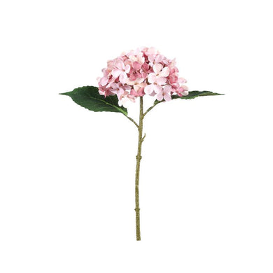 PTMD - Hydrangea Flower pink hydrangea stem with leaves