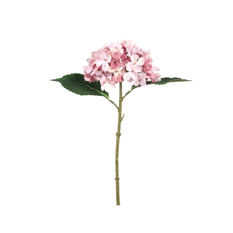 PTMD - Hydrangea Flower pink hydrangea stem with leaves