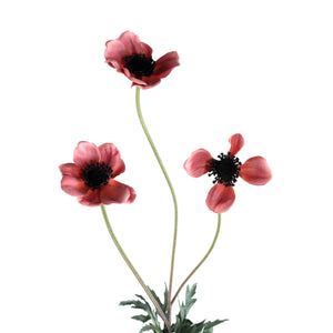 PTMD - Garden Flower pink anemone spray 3 flowers