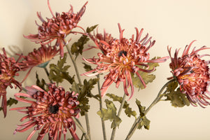 PTMD - Garden Flower burgundy chrysanthemum spray