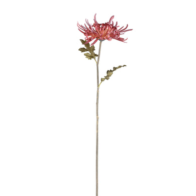 PTMD - Garden Flower burgundy chrysanthemum spray