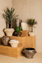 Afbeelding in Gallery-weergave laden, PTMD - Daven Bronze poly shell bamboo pot round low S