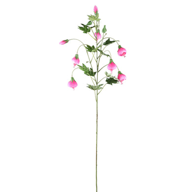 PTMD - Garden Flower Pink striped abutilon spray