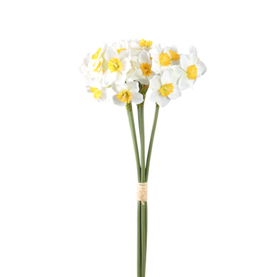 PTMD - Garden Flower white narcissus 6 pcs