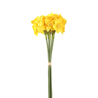 PTMD - Garden Flower Yellow narcissus 6 pcs