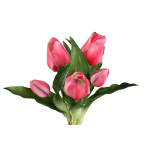 PTMD - Tulip Flower Pink bush with leaves short 5pcs