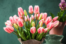 Afbeelding in Gallery-weergave laden, PTMD - Tulip Flower Pink bush with leaves long 5pcs