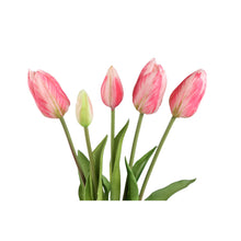 Afbeelding in Gallery-weergave laden, PTMD - Tulip Flower Pink bush with leaves long 5pcs
