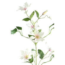 Afbeelding in Gallery-weergave laden, PTMD - Garden Flower clematis spray