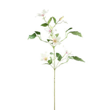 Afbeelding in Gallery-weergave laden, PTMD - Garden Flower clematis spray