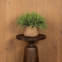Afbeelding in Gallery-weergave laden, PTMD - Leaves Plant Green field grass bush