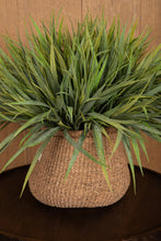 Afbeelding in Gallery-weergave laden, PTMD - Leaves Plant Green field grass bush