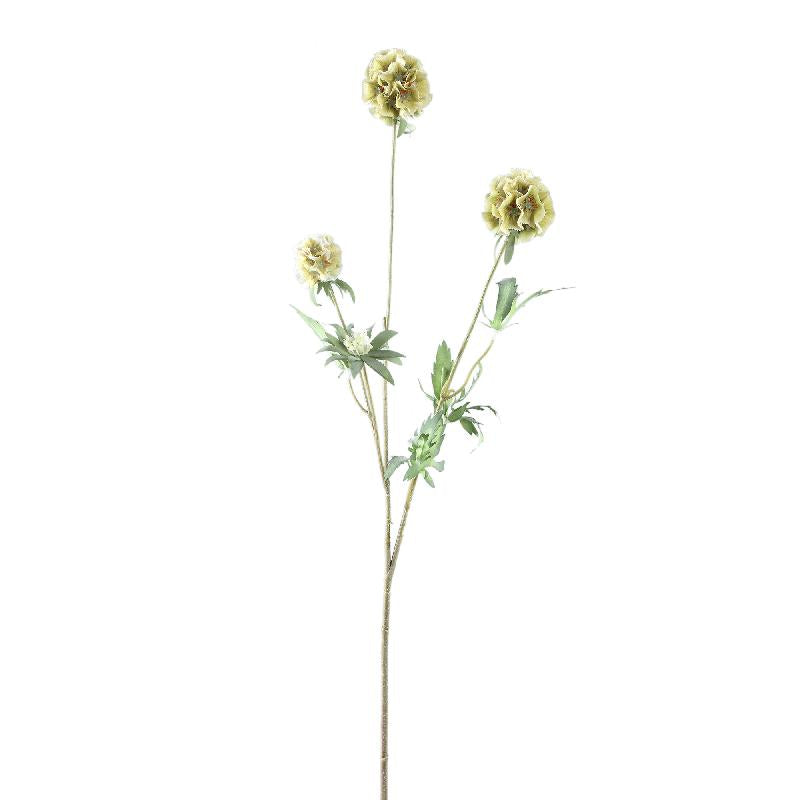 PTMD - Garden Flower Green scabiosa spray