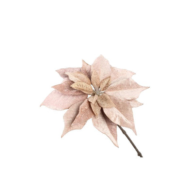 PTMD - Setta Champagne velvet LED poinsettia with clip