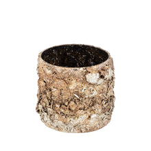 Afbeelding in Gallery-weergave laden, PTMD - Maddison glass stormlight short L