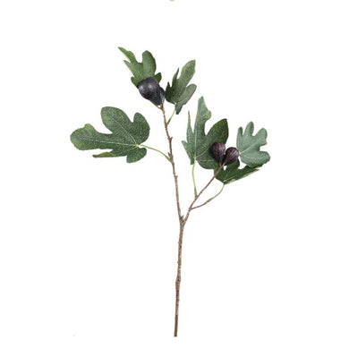 PTMD - Twig Plant Green fig spray with leaves