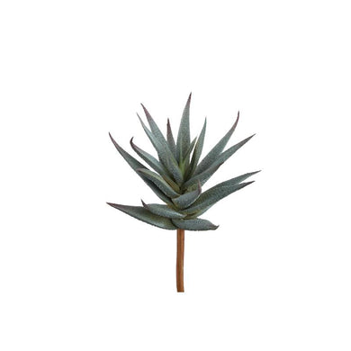 PTMD - Succulent Plant Green aloe pick