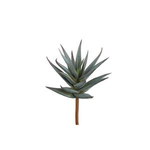 PTMD - Succulent Plant Green aloe pick
