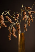 Afbeelding in Gallery-weergave laden, PTMD - Twig Plant Brown cattail spray