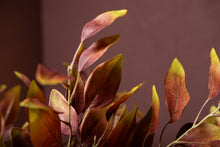 Afbeelding in Gallery-weergave laden, PTMD - Leaves Plant Burgundy Green eucalyptus spray