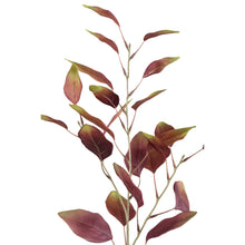 Afbeelding in Gallery-weergave laden, PTMD - Leaves Plant Burgundy Green eucalyptus spray