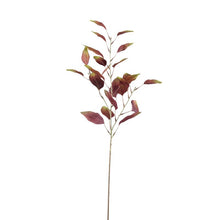 Afbeelding in Gallery-weergave laden, PTMD - Leaves Plant Burgundy Green eucalyptus spray