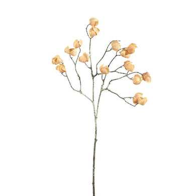 PTMD - Twig Plant Beige lantern spray
